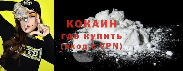 стаф Богданович