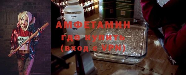 стаф Богданович