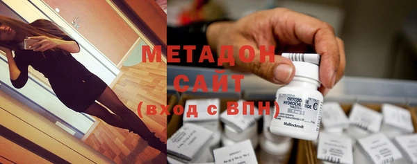 стаф Богданович