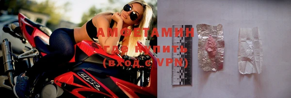 стаф Богданович