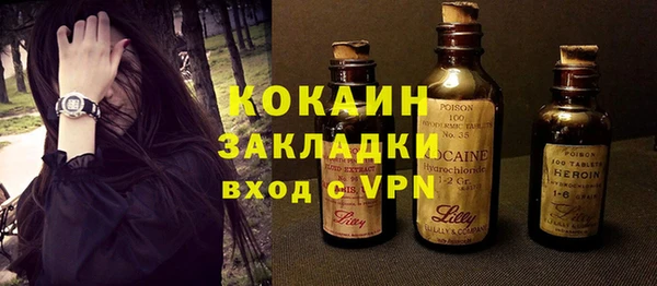 стаф Богданович