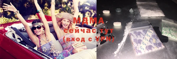 стаф Богданович