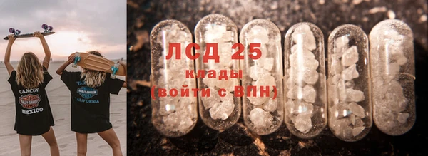 ПСИЛОЦИБИНОВЫЕ ГРИБЫ Богородицк